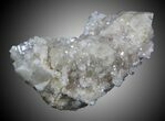 Cactus Quartz Crystal - South Africa #33910-1